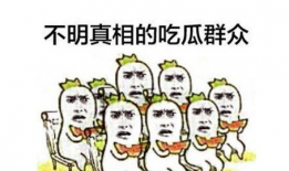 独家爆料吃瓜群众,吃瓜群众背后的惊人真相！